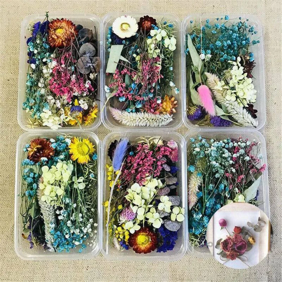 1 Box Mix Beautiful Real Dried Natural Flowers for Resin Jewelry Craft Making - Image 2