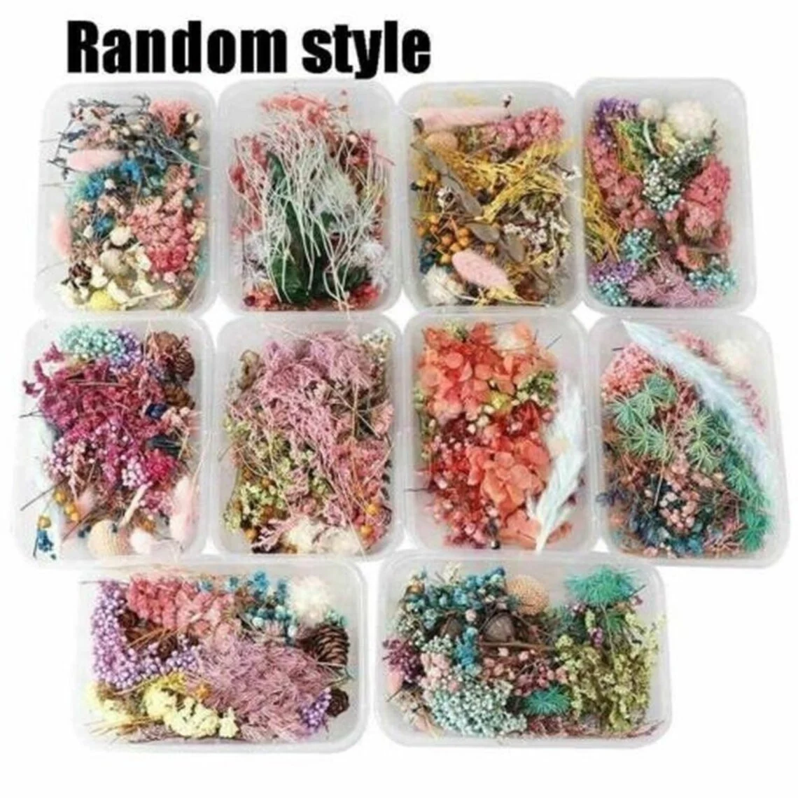1 Box Mix Beautiful Real Dried Natural Flowers for Resin Jewelry Craft Making - Image 3