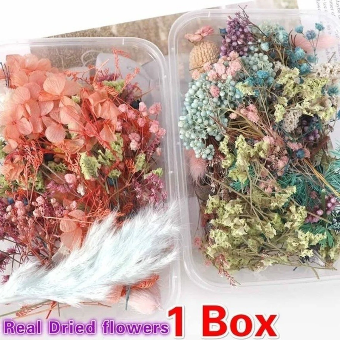 1 Box Mix Beautiful Real Dried Natural Flowers for Resin Jewelry Craft Making - Image 4