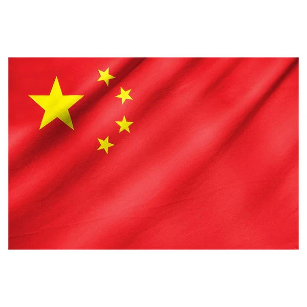 China Flag 15x22cm
