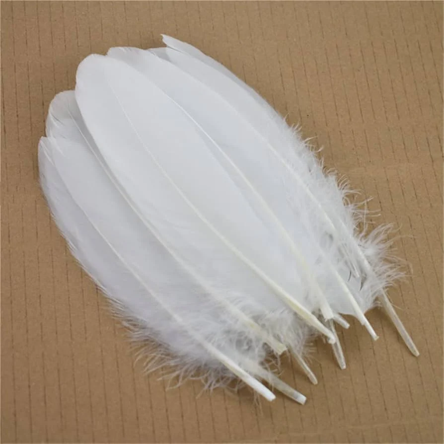 Feather Fancy Medium (20 Pcs)- White -