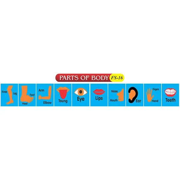 Kids Learning Educational Foam Wall Parts of Body
