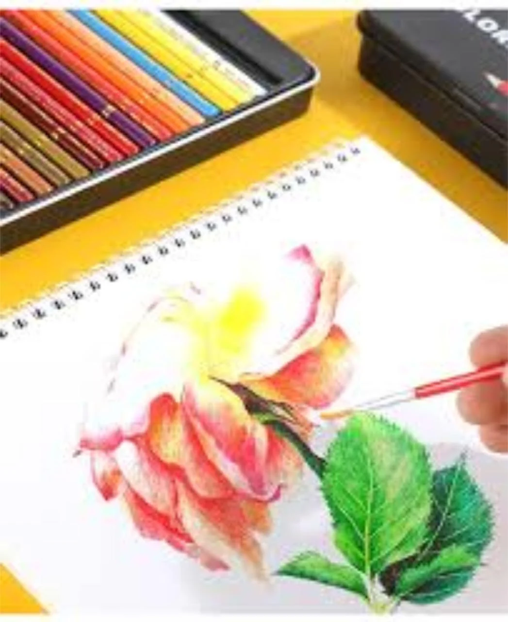 QILI Water Colored Pencils With Metal Box Set - Image 5