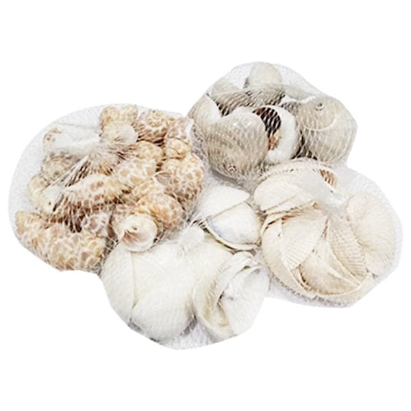 Sea Shells Large Net (1 Pouch) - Image 3
