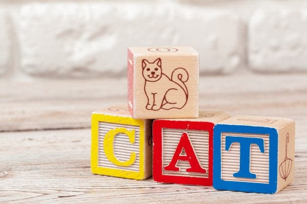 Wooden Toy Abc Blocks 27pcs - Image 3